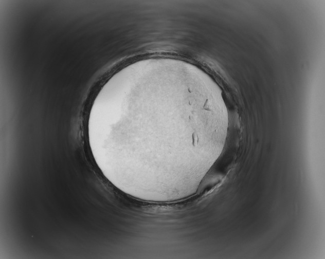 X0000087531164200705251653