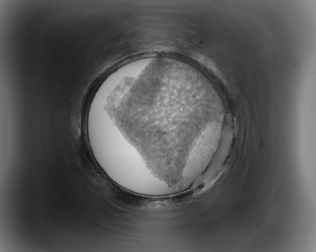 X0000087531165200705251653