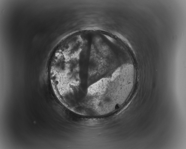 X0000087531167200705251653