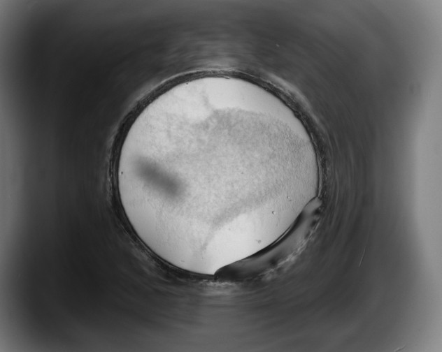 X0000087531168200705251653