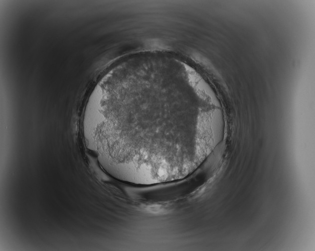 X0000087531169200705251653