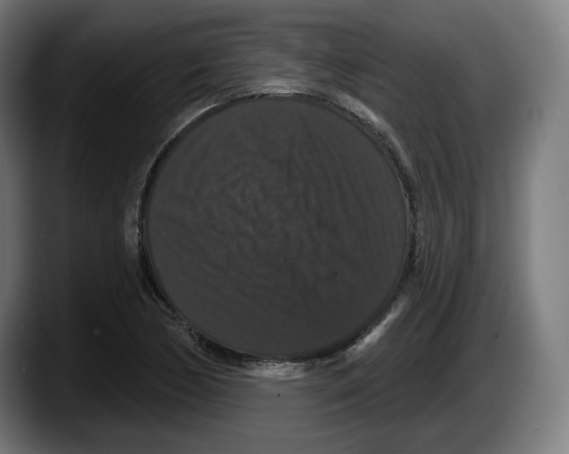 X0000087531170200705251653