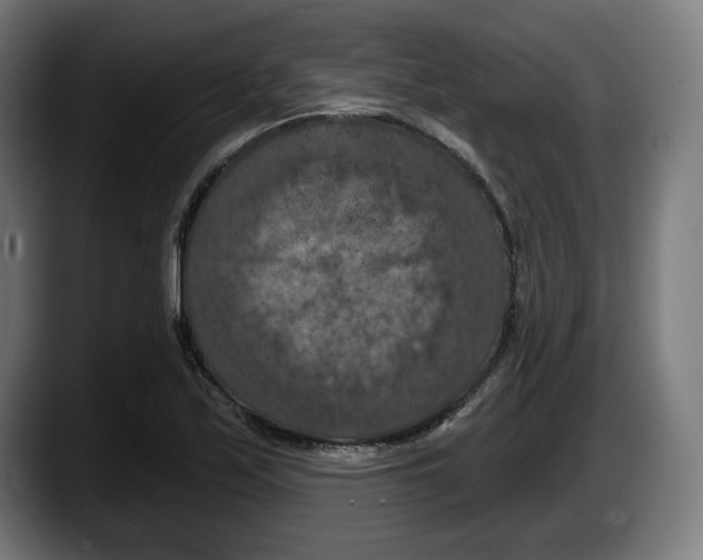 X0000087531171200705251653