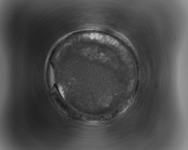 X0000087531172200705251653
