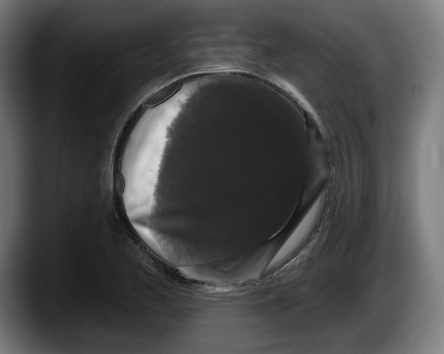 X0000087531173200705251653