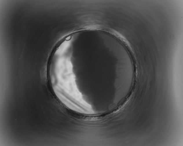 X0000087531174200705251653