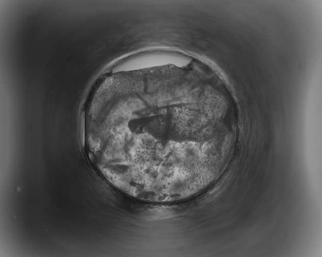 X0000087531175200705251653