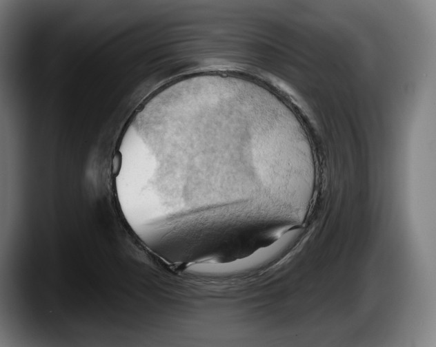 X0000087531177200705251653