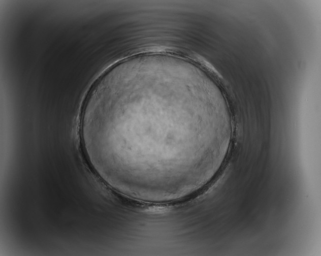 X0000087531178200705251653
