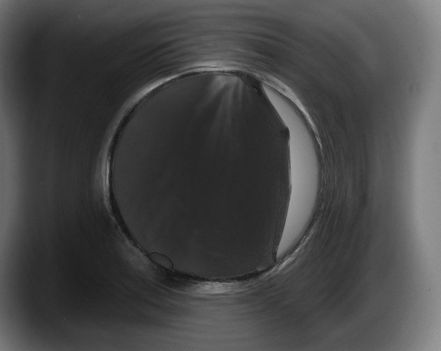 X0000087531179200705251653
