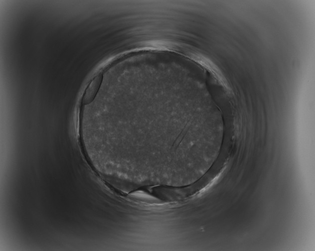 X0000087531180200705251653