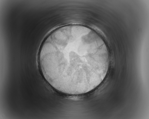 X0000087531182200705251653