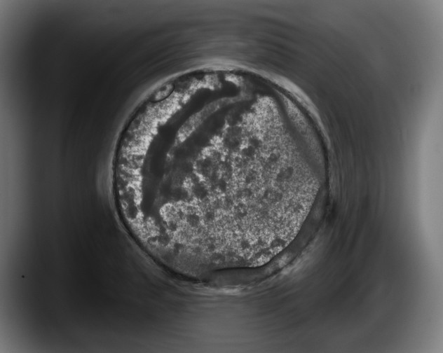 X0000087531183200705251653