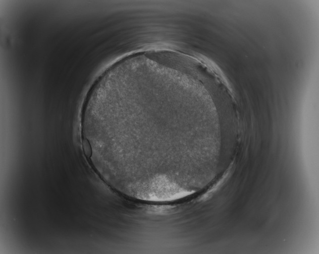 X0000087531184200705251653