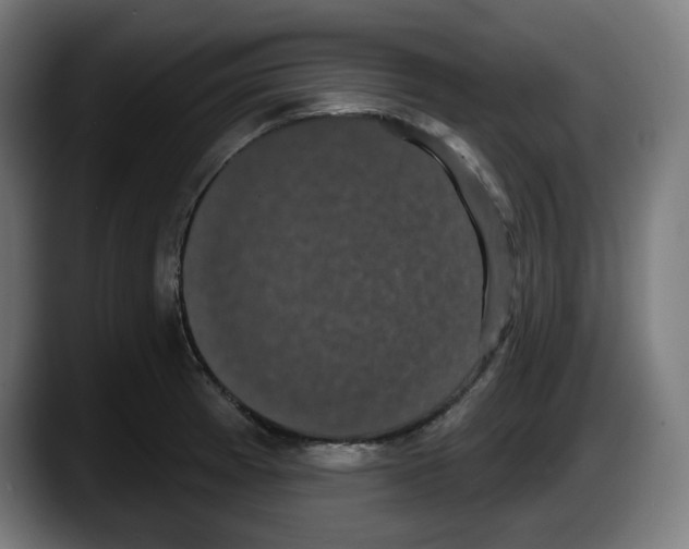 X0000087531185200705251653