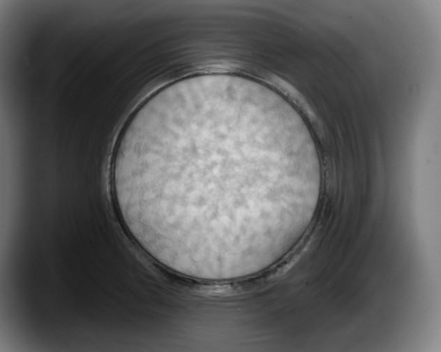 X0000087531186200705251653