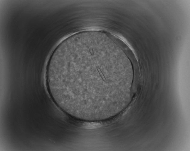 X0000087531187200705251653
