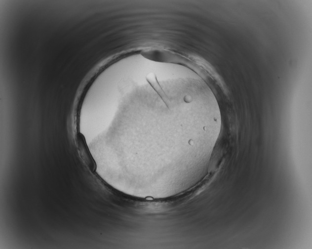 X0000087531188200705251653