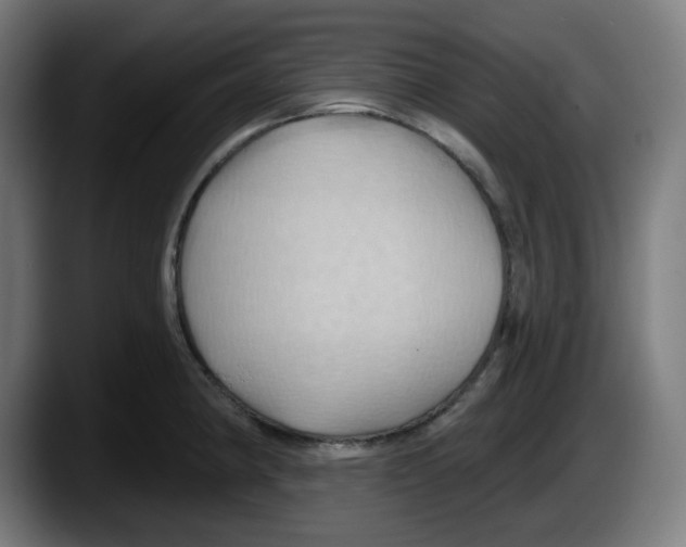 X0000087531190200705251653