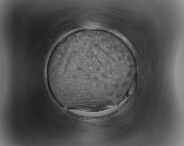X0000087531191200705251653