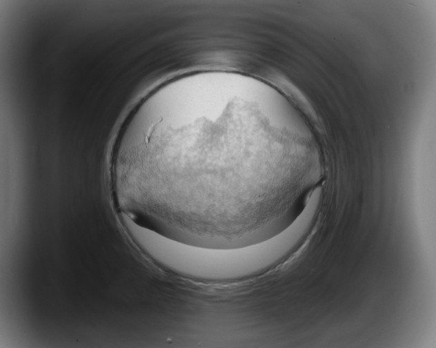 X0000087531192200705251653