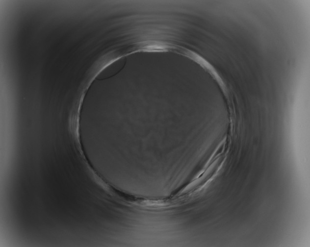 X0000087531194200705251653