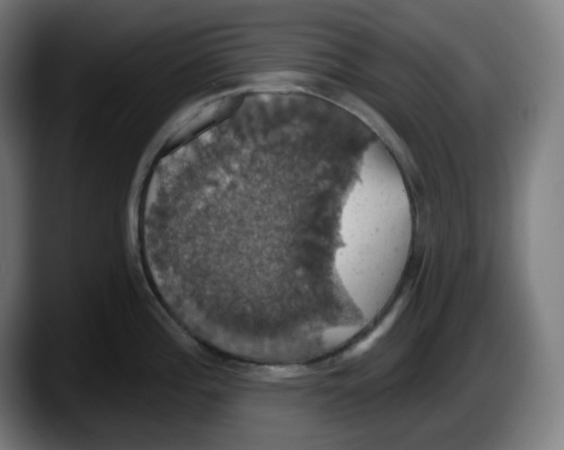 X0000087531196200705251653