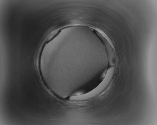 X0000087531197200705251653