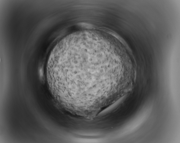 X0000087531198200705251653