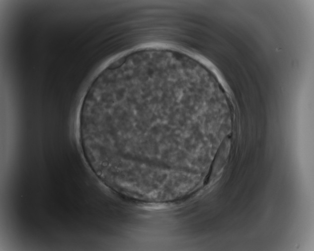 X0000087531199200705251653