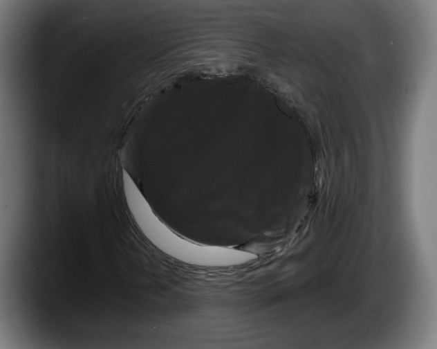 X0000087531202200705251652