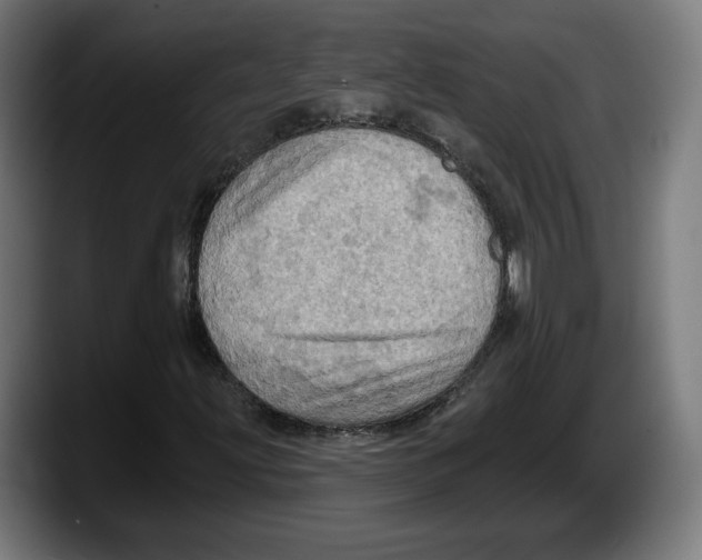 X0000087531203200705251652