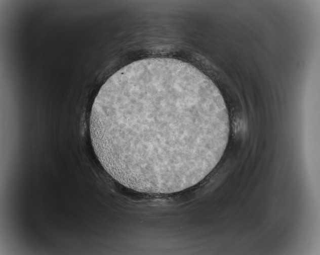 X0000087531204200705251652