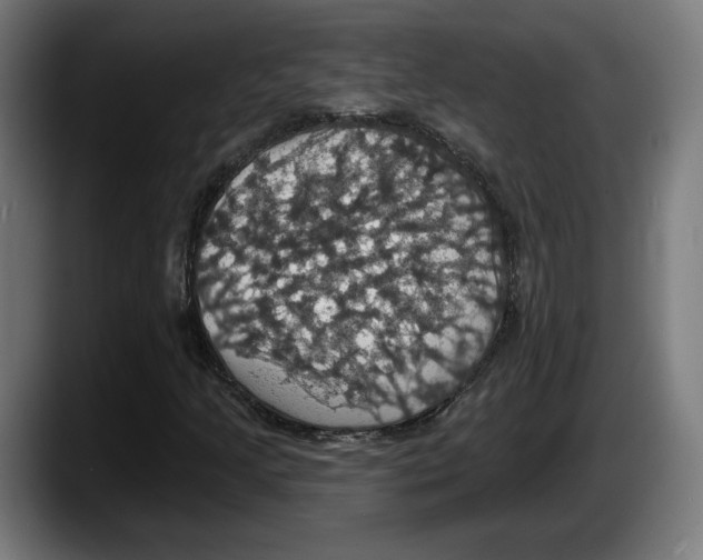 X0000087531205200705251652