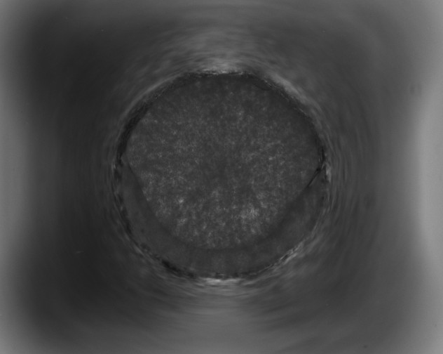 X0000087531206200705251652