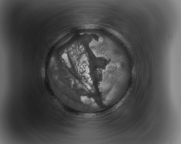 X0000087531209200705251652
