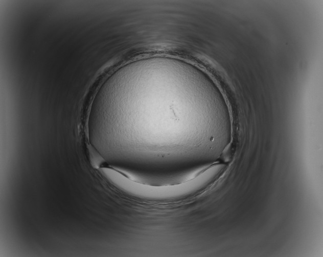 X0000087531210200705251652