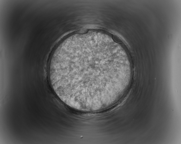 X0000087531212200705251652