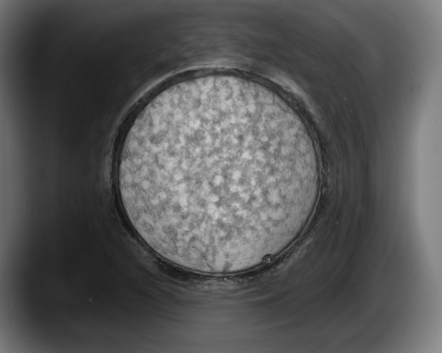 X0000087531216200705251652