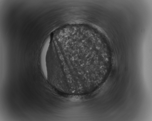 X0000087531217200705251652