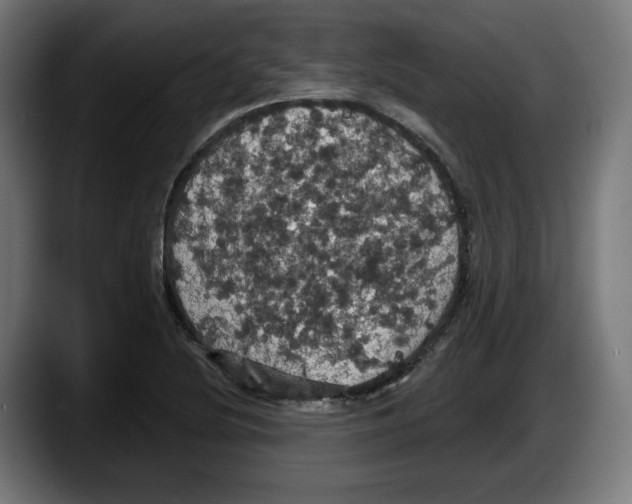 X0000087531220200705251653