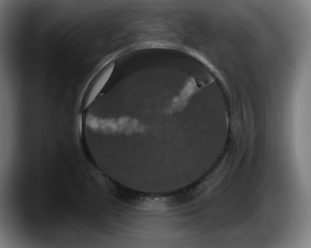 X0000087531221200705251653