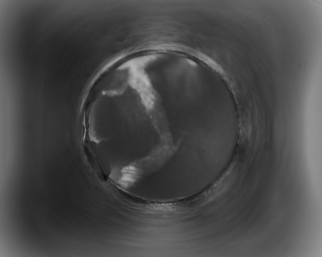 X0000087531223200705251653