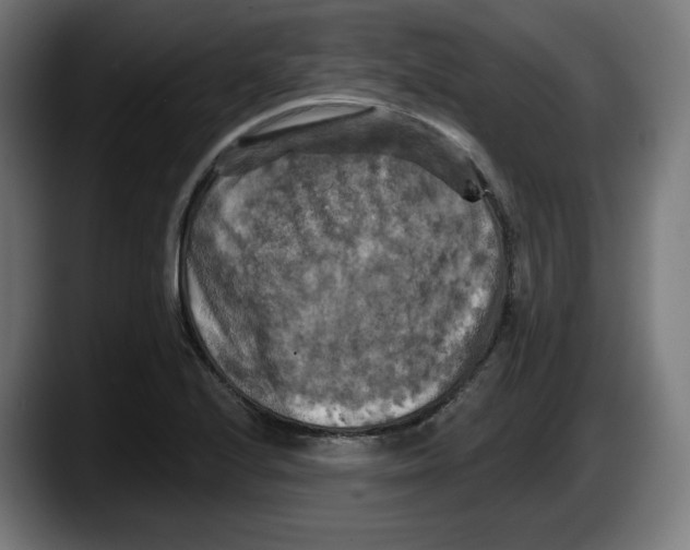 X0000087531224200705251653