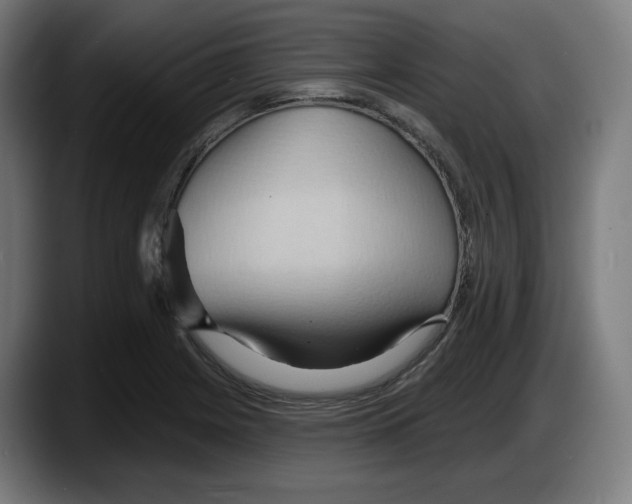 X0000087531225200705251653