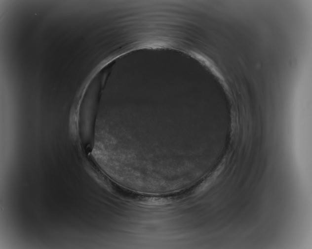 X0000087531226200705251653