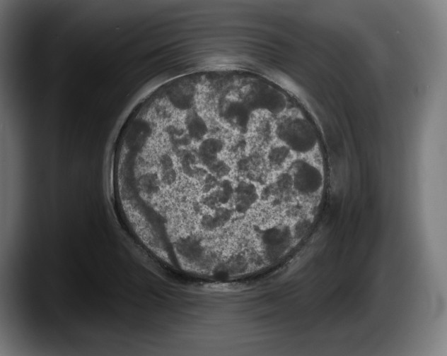 X0000087531227200705251653
