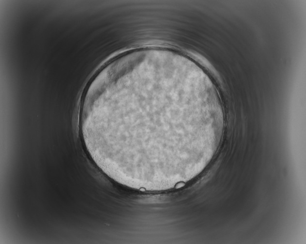 X0000087531228200705251653
