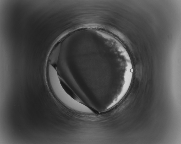 X0000087531229200705251653