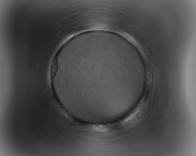 X0000087531230200705251653